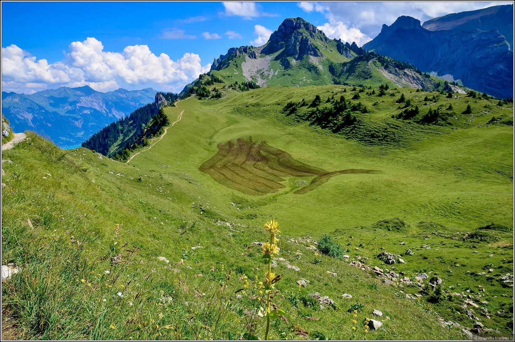 Schynige Platte (Wilderswil)